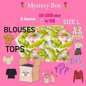 🌷 Mystery Box 🌷 5PC Women’s Tops Blouses Size L